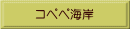 コペペ海岸